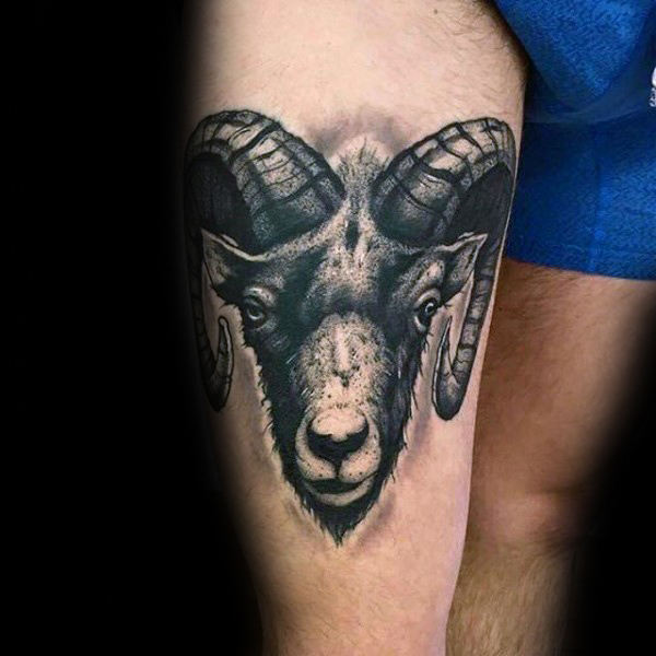 tatuagem carneiro 24