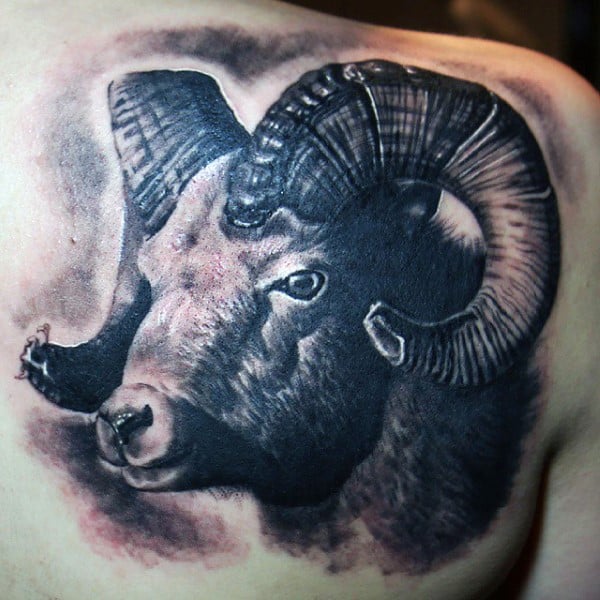 tatuagem carneiro 82