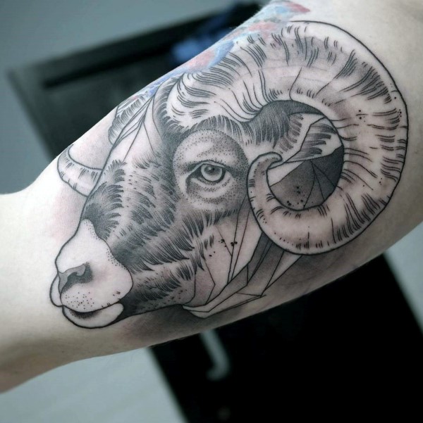 tatuagem carneiro 86