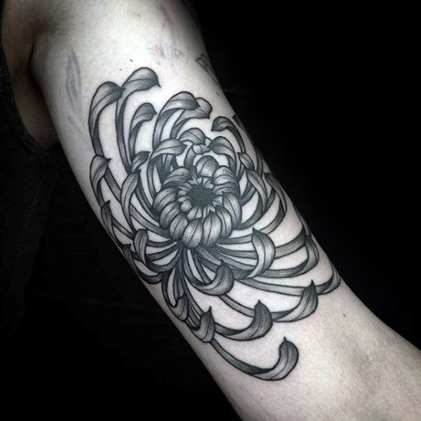 tatuagem crisantemo 174