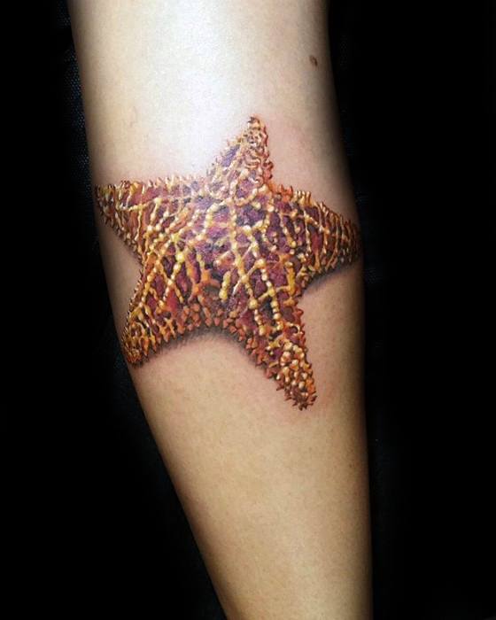 tatuagem estrela do mar 12