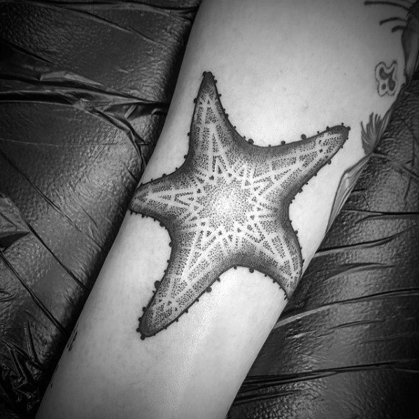 tatuagem estrela do mar 28