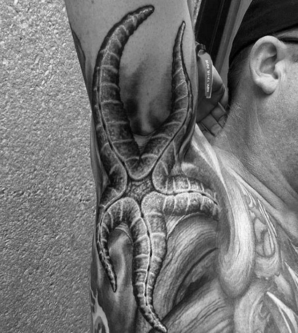 tatuagem estrela do mar 40