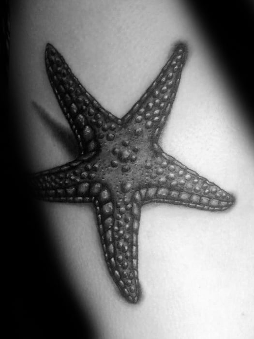 tatuagem estrela do mar 44