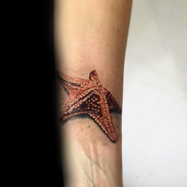 tatuagem estrela do mar 56
