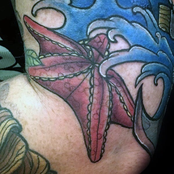 tatuagem estrela do mar 66
