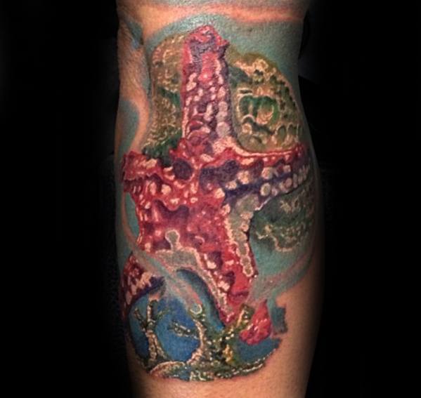 tatuagem estrela do mar 76