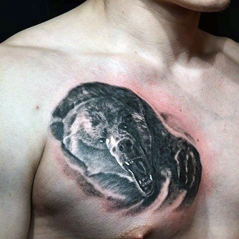 tatuagem garra arranhao urso 100