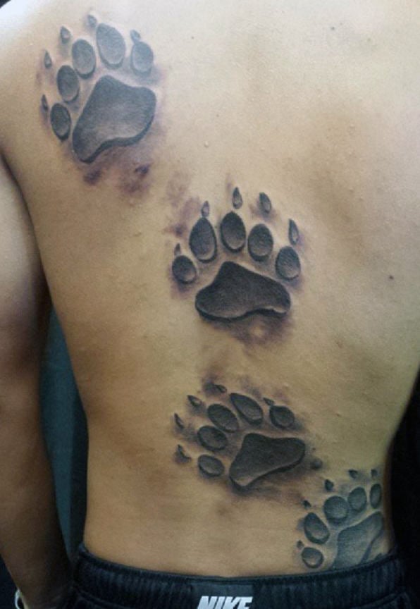 tatuagem garra arranhao urso 156