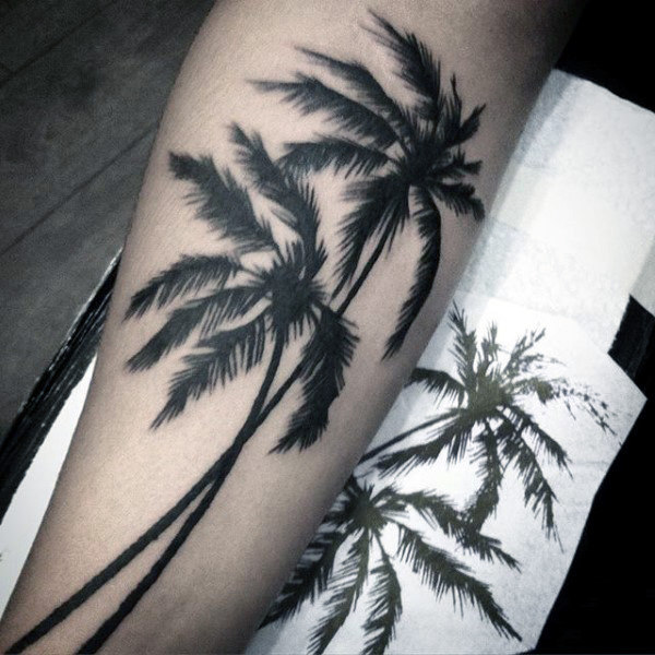 tatuagem palmeira 22