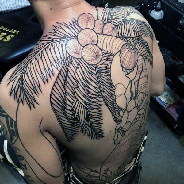 tatuagem palmeira 46