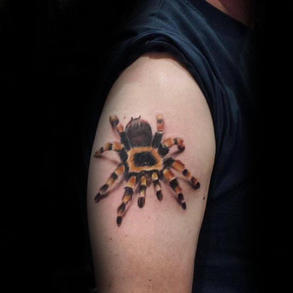 tatuagem tarantula 101