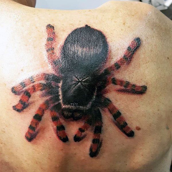 tatuagem tarantula 111