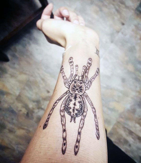 tatuagem tarantula 61