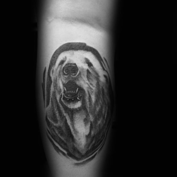 tatuagem urso polar 16