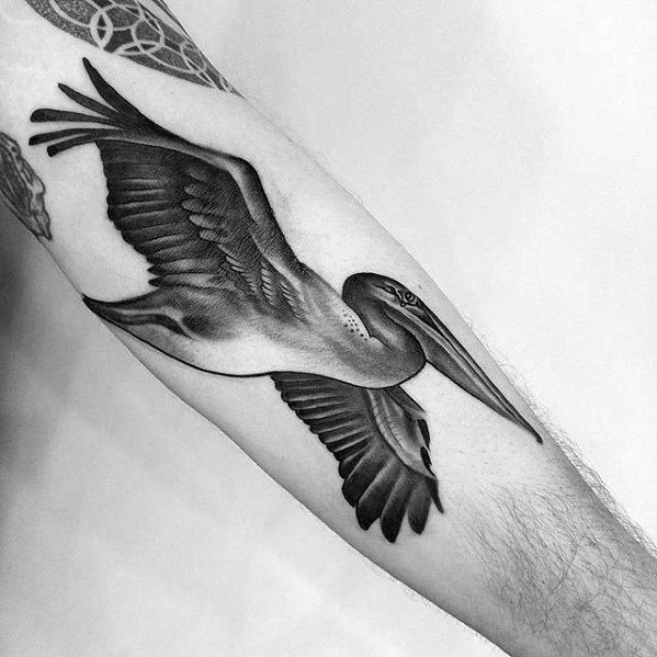 tatuagem pelicano 1010