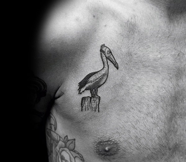 tatuagem pelicano 10619