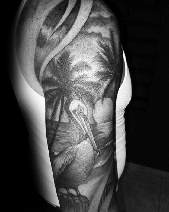 tatuagem pelicano 13046