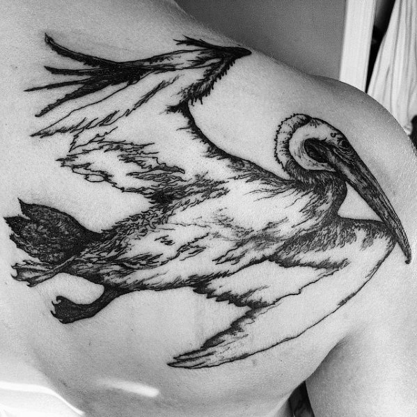 tatuagem pelicano 91124