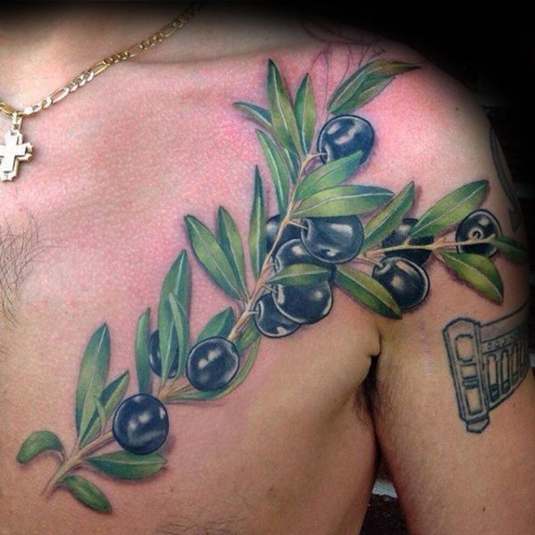 tatuagem oliveira arvore 11