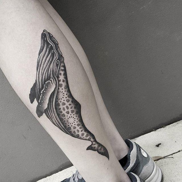 tatuagem baleia 107