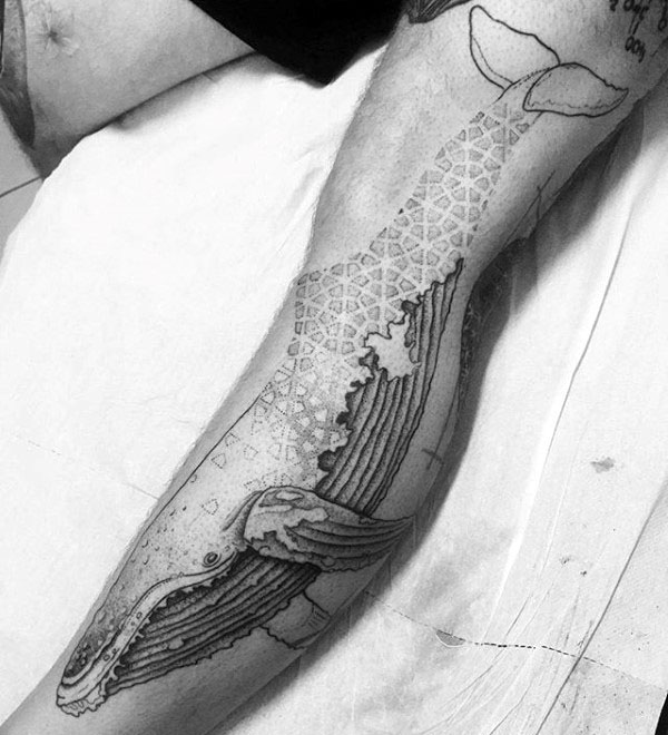 tatuagem baleia 115