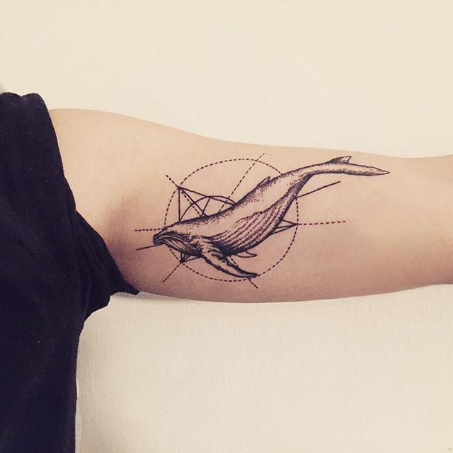 tatuagem baleia 95