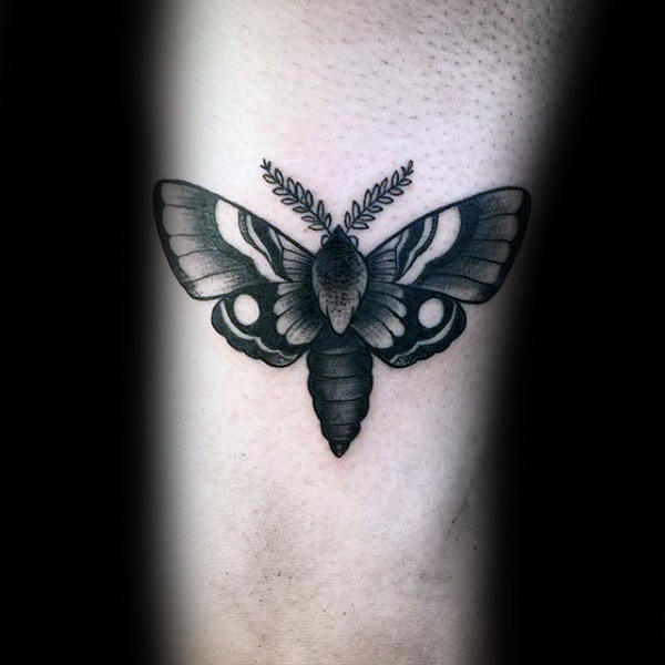 tatuagem traca mariposa 107