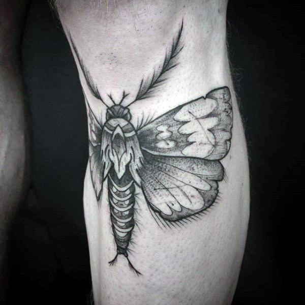 tatuagem traca mariposa 169