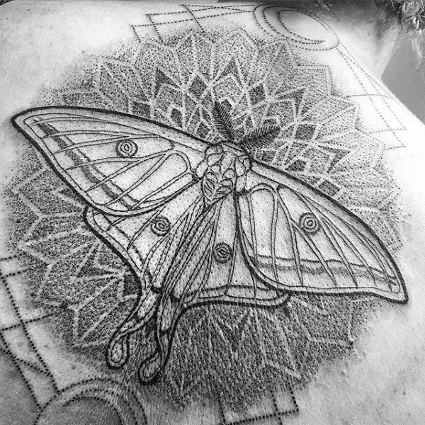 tatuagem traca mariposa 55