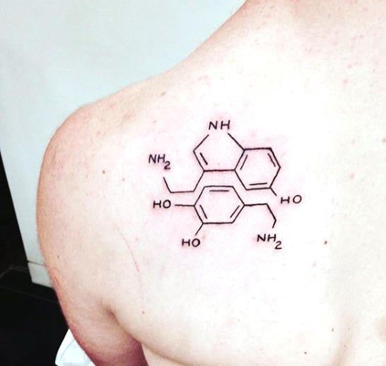 tatuagem ciencia 333