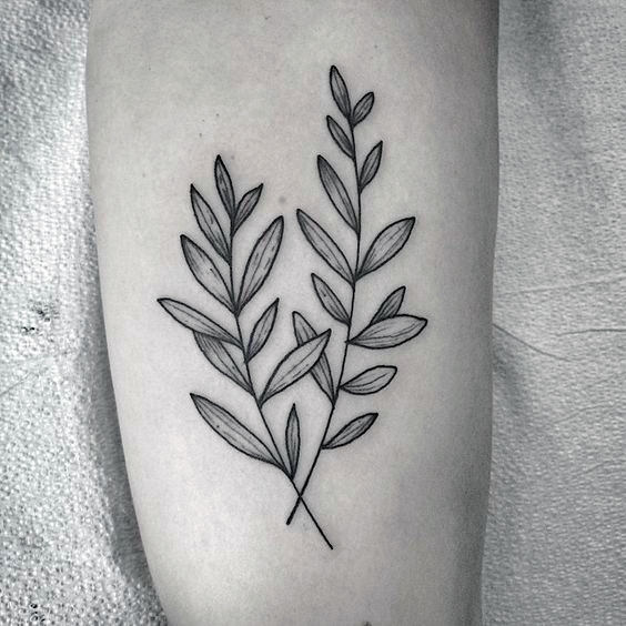 tatuagem ramo de oliveira 154