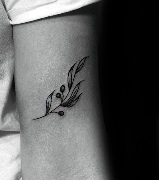 tatuagem ramo de oliveira 160