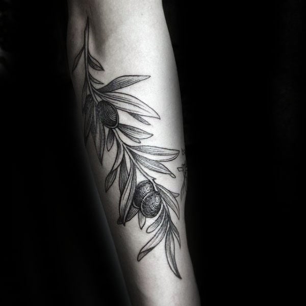 tatuagem ramo de oliveira 19