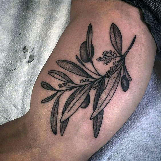 tatuagem ramo de oliveira 49