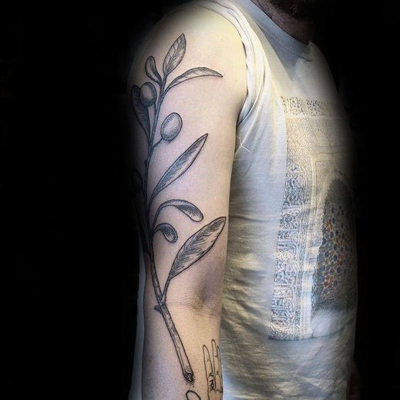tatuagem ramo de oliveira 70