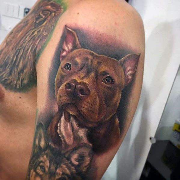 61 de tatuaje cu Pitbulli (cu semnificația lor)